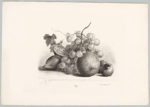 Figues, raisins et orange (Bloem en Fruit Studien, 10e aflevering) - Anton Weiss