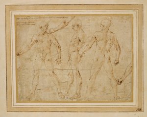 Trois nus masculins, de face, de dos, de profil; … - Antonio (attr. to) Pollaiuolo