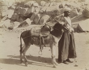 Bourier et Bouriquer, Égypte