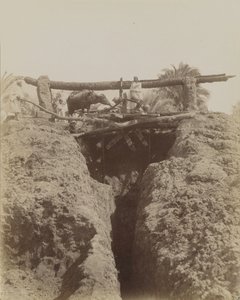 Sehaquieh, Égypte