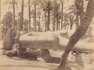 Statue de Ramsès à Saqqarah, vers 1870-1880 - Antonio Beato