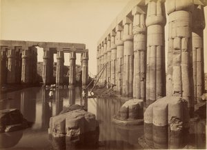 La cour inondée d