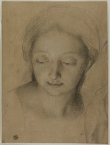Tête de femme - Antonio Cavallucci