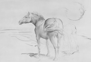 Chevaux à Coolmore, 1990