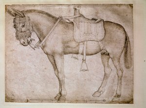 Harnais de mule. Dessin par Antonio Pisano dit il Pisanello (1380-1455) - Antonio Pisanello