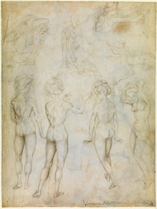  - Antonio Pisanello