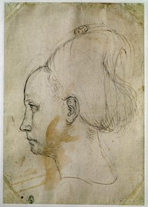 Tête de jeune femme, profil vers la gauche - Antonio Pisanello