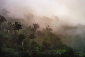 Corcovado XIX, 2020 - Antonio Schubert