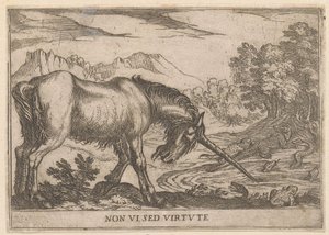 Une licorne chasse des lézards d