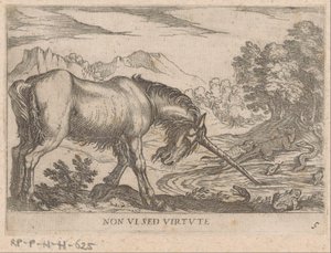 Une licorne chassant des lézards d