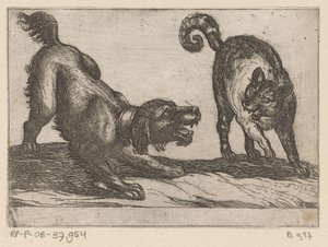 Un chien combattant un chat