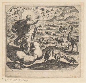 Dieu crée les oiseaux et les poissons