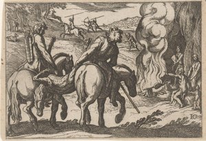 Chasse aux cerfs