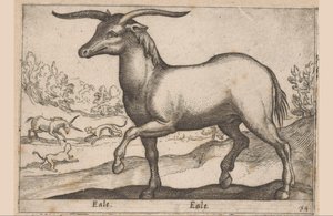 Cheval avec des cornes - Antonio Tempesta