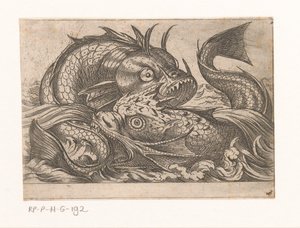 Deux poissons combattants