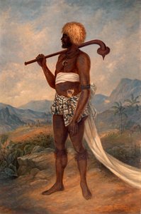 Homme fidjien, ca. 1893