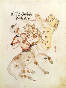 Ms 5036 fol.238 Les constellations du Centaure et du Lion, du Traité sur les étoiles fixes par Abd-al-Rahman Al Sufi (903-986)