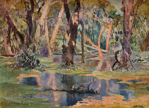 Quindanning Pool, vers 1927