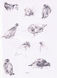 Grouse, 1938