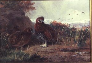 Grouse dans un Paysage Hivernal - Archibald Thorburn