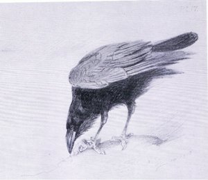 Corbeau, publié par Book Club Associates