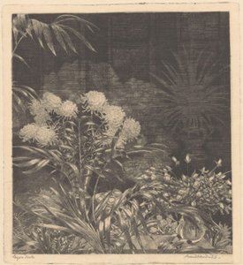 Intérieur avec des fleurs dans des vases et des plantes en pots
