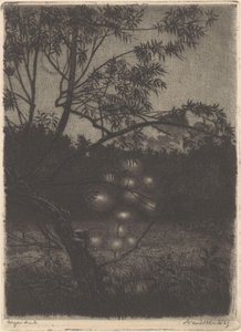 Jardin avec arbre lumineux