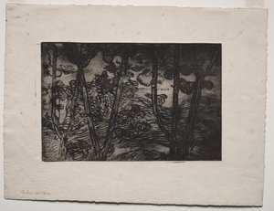 Arbres la nuit, vers 1894