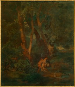 Lisière de forêt avec faune et nymphe