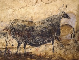 Vache noire. Peinture des grottes de Lascaux, vers 16 000-15 000 av. J.-C. - Art of the Upper Paleolithic.