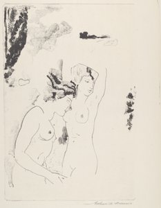 Nymphes du ruisseau