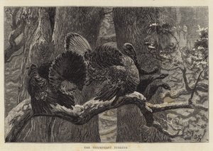 Les Dindons triomphants - Arthur Boyd Houghton
