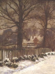 Ormes dans une allée enneigée