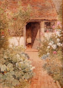 Choux dans un jardin de cottage