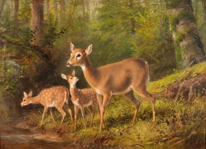Une biche et deux faons