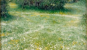 Marguerites à Burnham