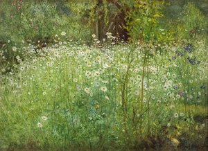 Marguerites et iris