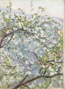 Fleur, vers 1900