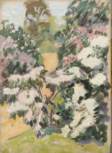 Fleur, vers 1900