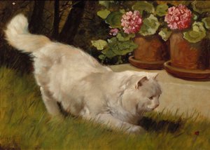 Un chat persan blanc avec une coccinelle