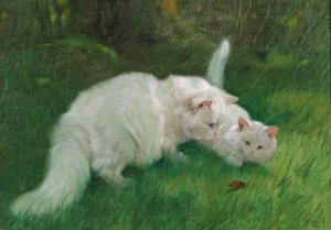 Arthur Heyer Découverte intéressante 1923 - Arthur Heyer