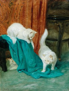 Chats en train de jouer - Arthur Heyer