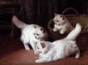 Trois chatons angora blancs