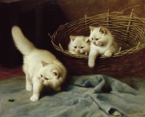 Chatons angoras blancs avec un scarabée, 1929