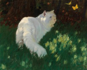Chat blanc et papillons