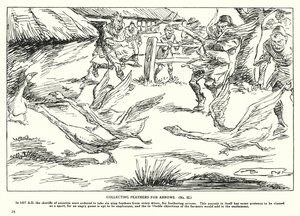 Collecter des plumes pour les flèches