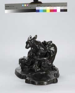 Kangourou et chien