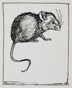Une souris - Arthur Rackham