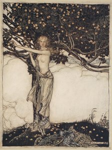 Freia, la belle, illustration de 