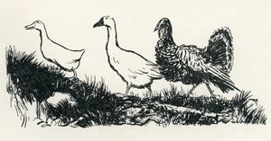 Henny-Penny